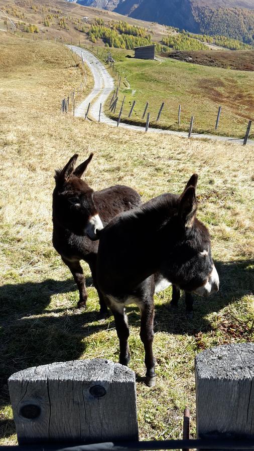 Familienpension Gletscherblick Heiligenblut am Großglockner Exterior foto